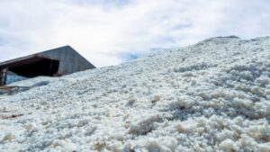 Ganfeng Lithium запустила производство лития в Аргентине