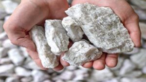 Литиевый проект в Португалии: Savannah Resources приостанавливает разведку