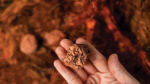 Панама отложила слушания по руднику Cobre Panama до 2026 года
