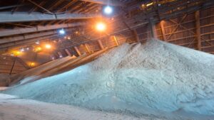 Torex Gold расширяется: запуск медного проекта в Мексике