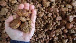Lindian Resources получает полный контроль над бокситовым проектом в Гвинее