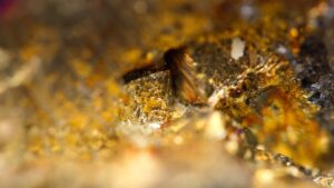 Gold Fields закрывает рудник Damang в Гане по требованию властей
