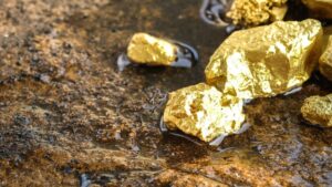 Patagonia Gold привлекает инвестиции для золоторудного проекта в Аргентине