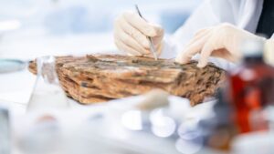 Newmont внедряет быструю технологию анализа золота Chrysos PhotonAssay