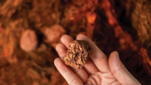 Harmony Gold покупает австралийский медный рудник CSA за $1,03 млрд