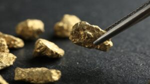 Золото Квебека: Probe Gold готовит предТЭО для проекта Novador