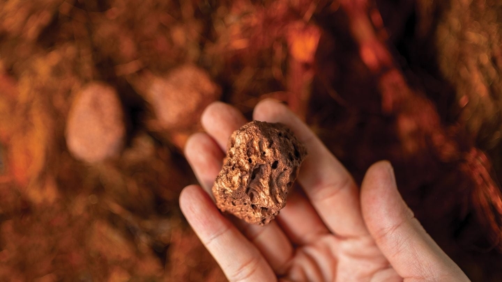 Vanguard Mining начала бурение на проекте Redonda в Британской Колумбии