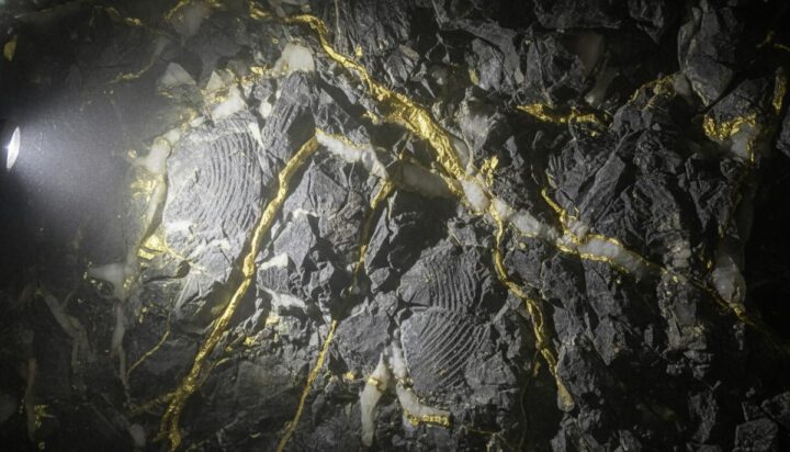 Alkane Resources обнаружила высокие содержания золота на руднике Томмингли