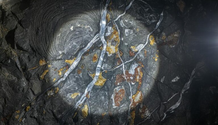 Pan American Silver открыла четыре богатые жилы на руднике La Colorada