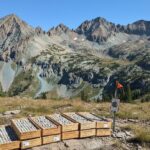 Domestic Metals расширяет разведку в Монтане после высоких проб золота и меди