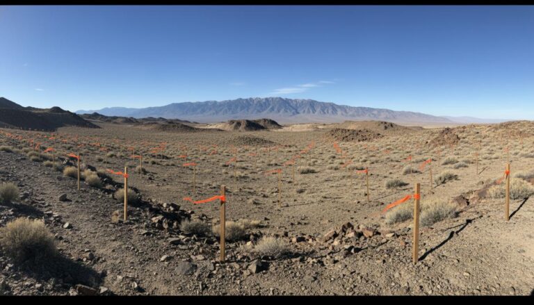 A2Gold консолидирует активы на проекте Тейлор в американском штате Невада