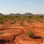 Origen Resources приобретет крупный проект редкоземельных металлов в Бразилии