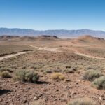 Alaros Exploration приобретает вольфрамовые активы в штате Невада