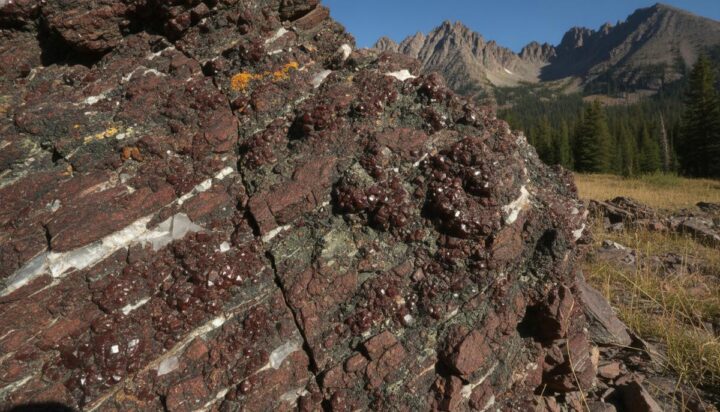 Red Mountain Mining обнаружила вольфрамоносные скарны на проекте в США