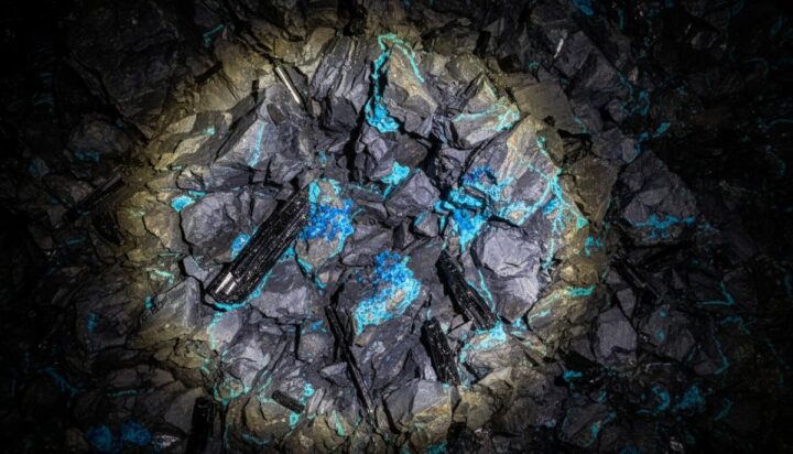Copper One нашла медь с содержанием 10,5% на проекте Маджуба-Хилл в Неваде