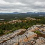 Skull Ridge Gold приобрела золотомедный проект на Ньюфаундленде