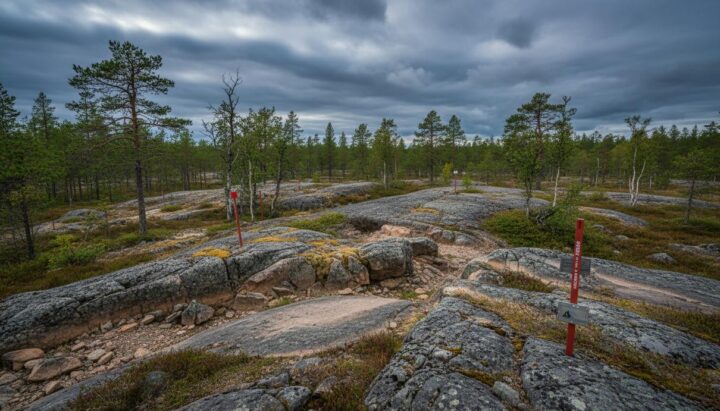 Laramide Resources получила лицензии на разведку урана в Швеции